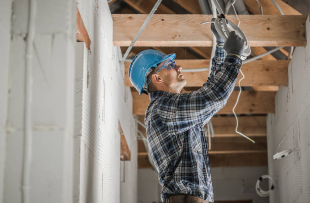 Best Electrical System Inspection  in Valdez, AK