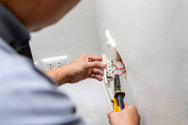 Best Ceiling Fan Installation Electrician  in Valdez, AK